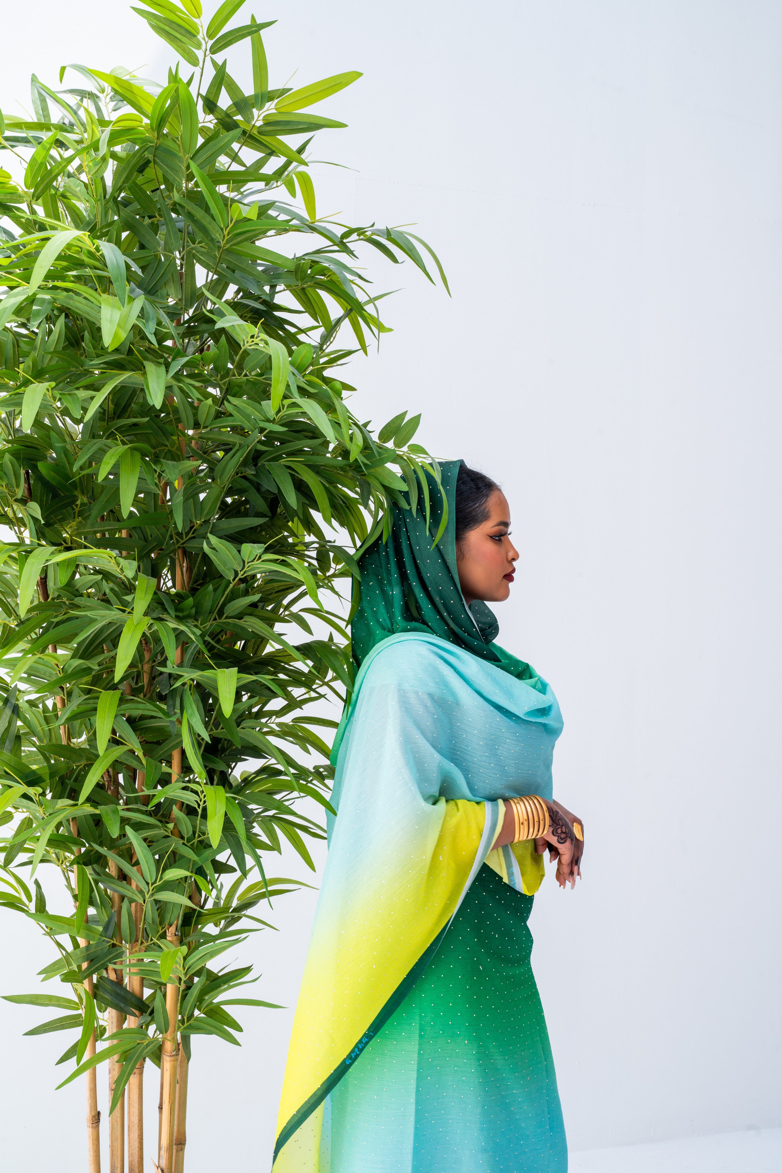 Green Ombre Toub